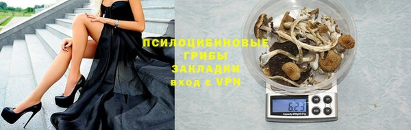 тгк Ростов