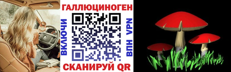 Псилоцибиновые грибы мицелий  Шимановск 